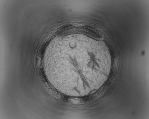 X0000115660417200912031337