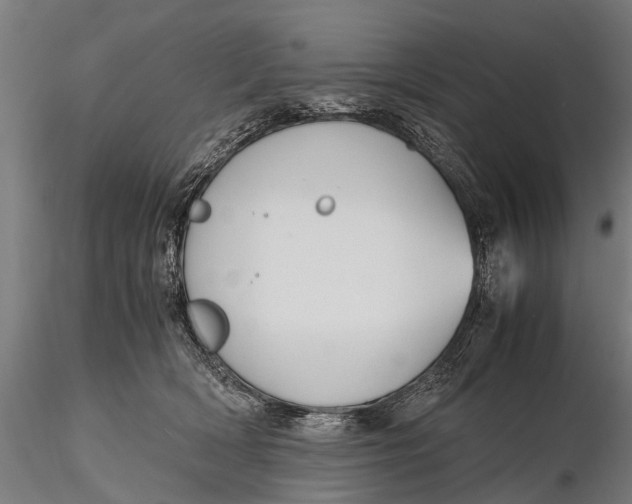 X0000115660418200912031337