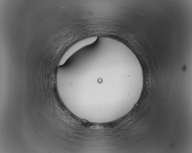 X0000115660419200912031337