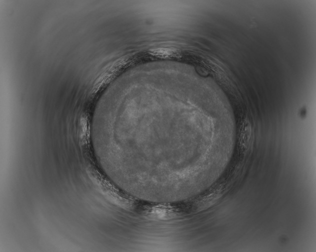 X0000115660420200912031337