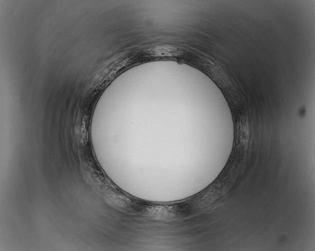 X0000115660422200912031337