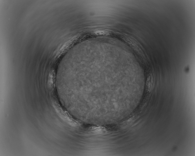 X0000115660424200912031337