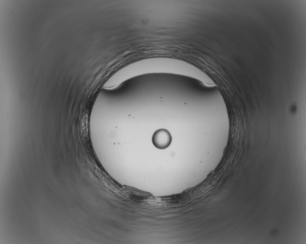 X0000115660425200912031337