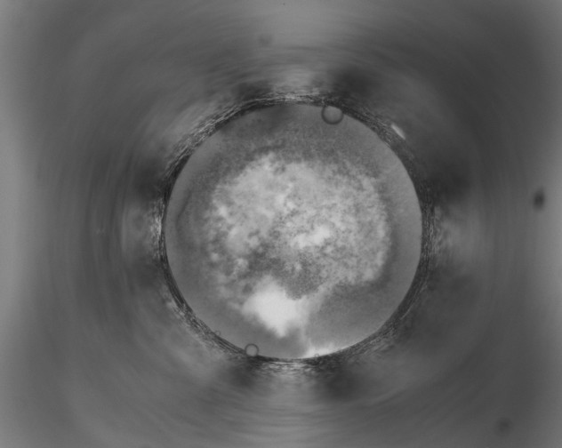 X0000115660427200912031337