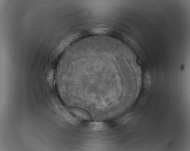 X0000115660428200912031337