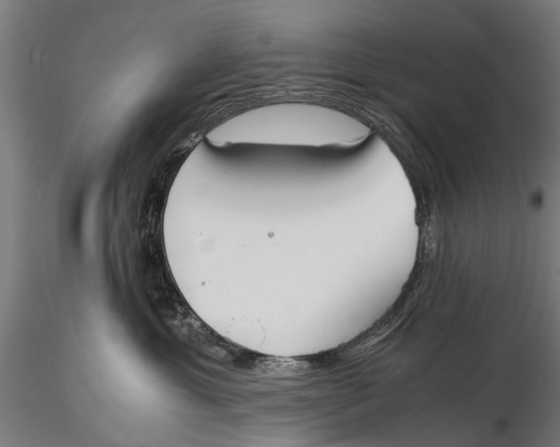 X0000115660429200912031337