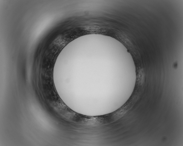 X0000115660430200912031337