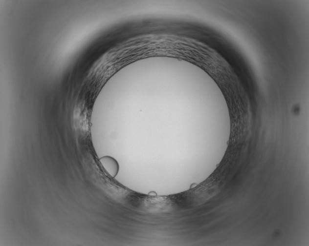 X0000115660431200912031337