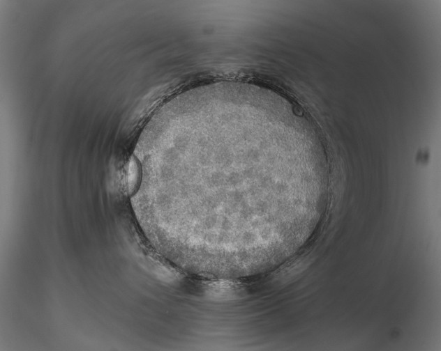 X0000115660432200912031337