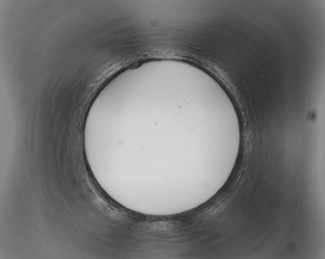 X0000115660433200912031336