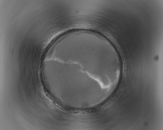 X0000115660434200912031336