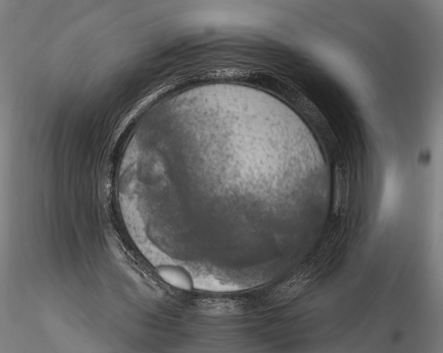 X0000115660435200912031336