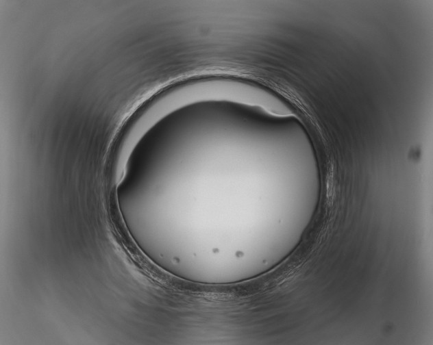 X0000115660436200912031336