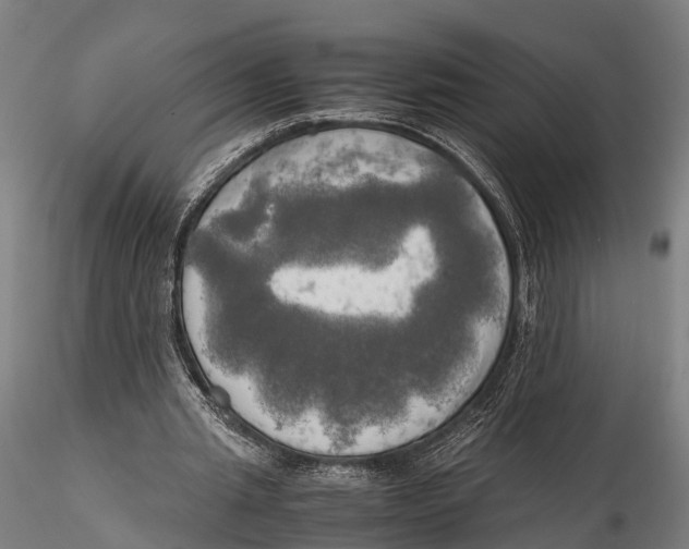 X0000115660437200912031336