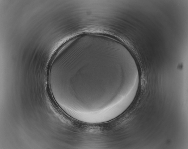 X0000115660438200912031336