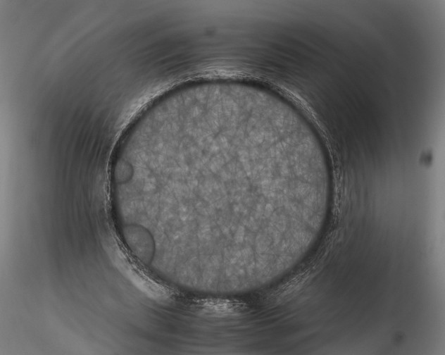 X0000115660439200912031336