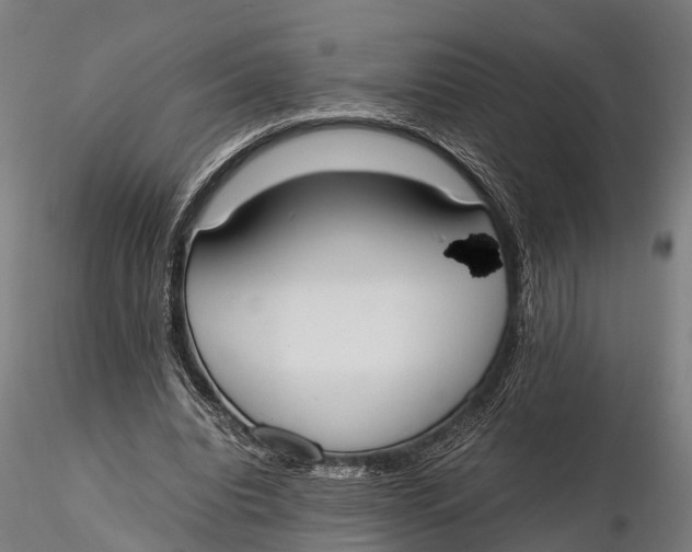 X0000115660440200912031336