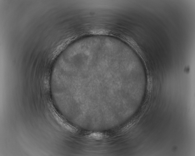 X0000115660441200912031336