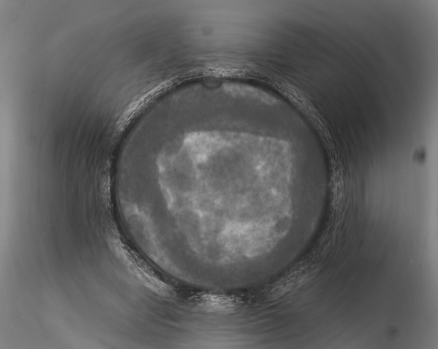 X0000115660442200912031336