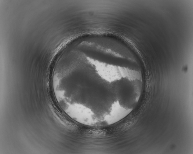 X0000115660443200912031336