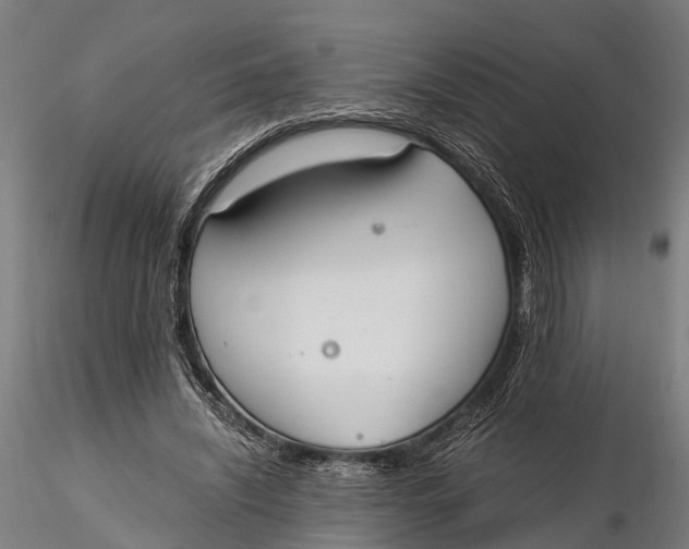 X0000115660444200912031336