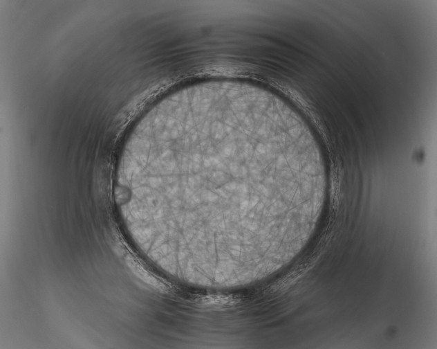 X0000115660445200912031336