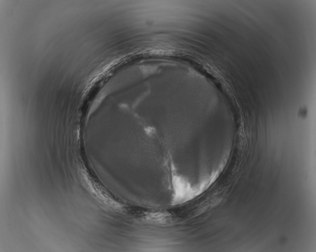 X0000115660446200912031336