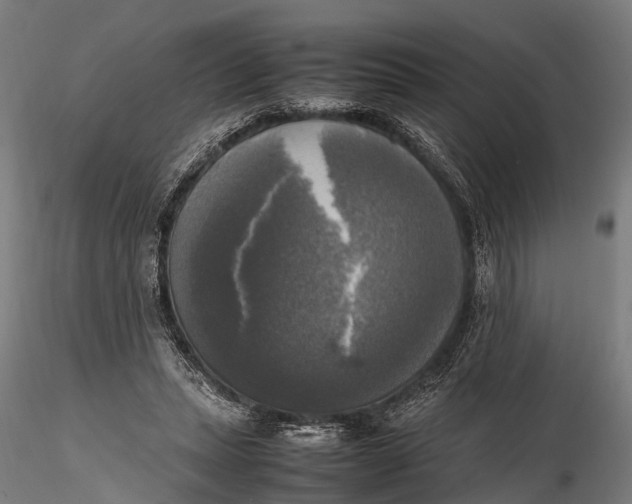 X0000115660447200912031336