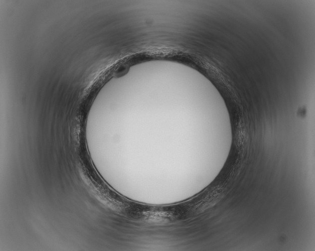 X0000115660448200912031336