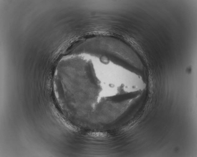 X0000115660449200912031336