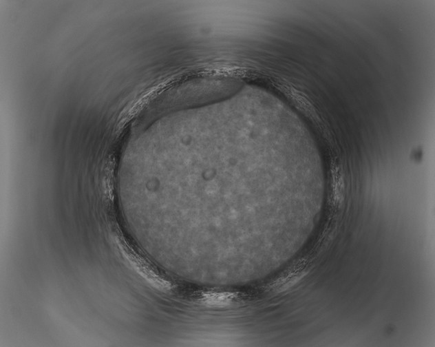 X0000115660450200912031336