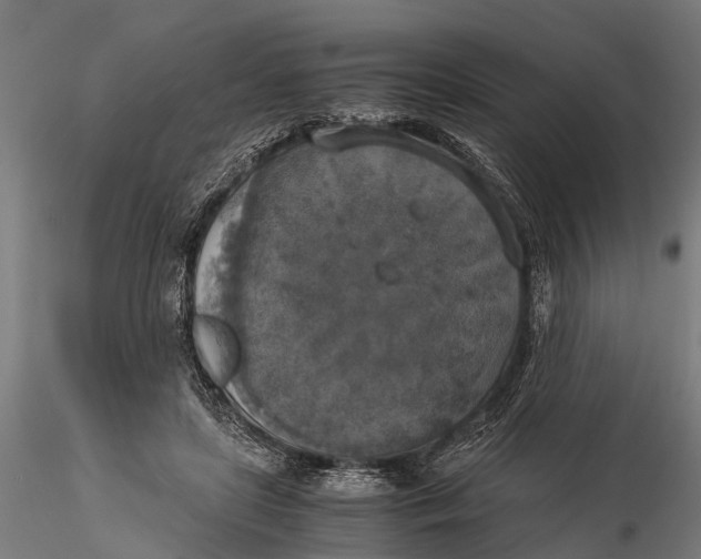 X0000115660451200912031336