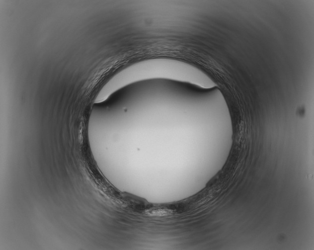 X0000115660452200912031336