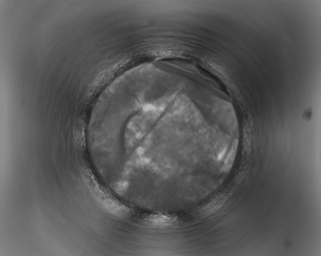 X0000115660453200912031336