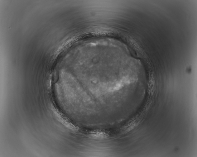 X0000115660454200912031336