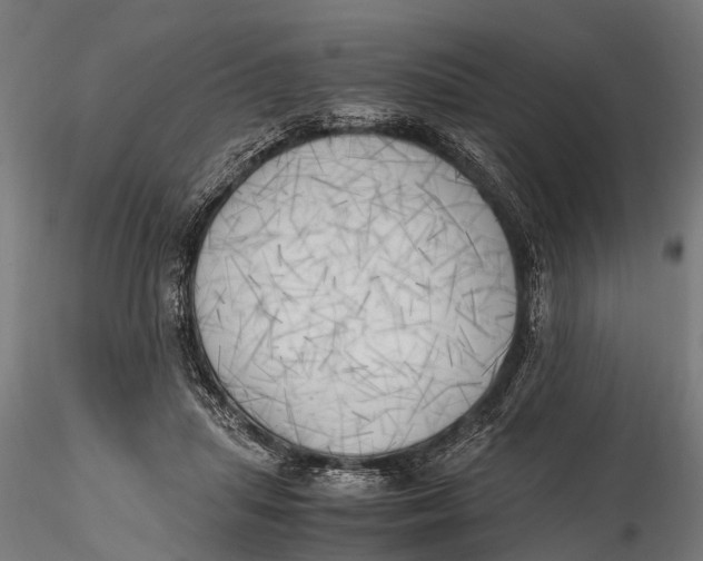 X0000115660455200912031336