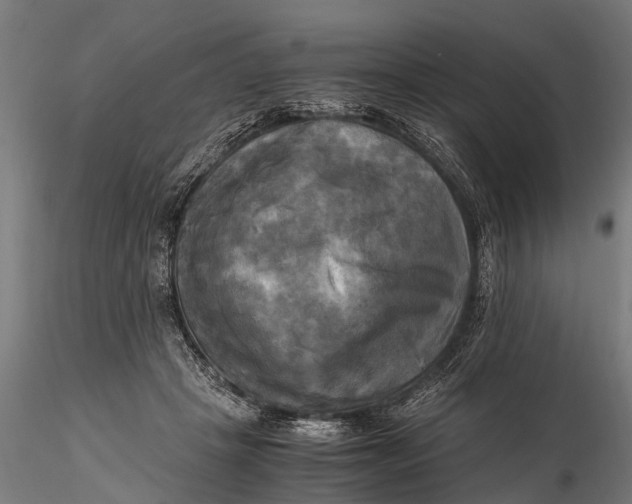 X0000115660457200912031336