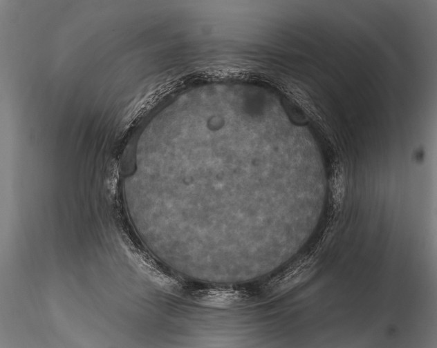 X0000115660458200912031336