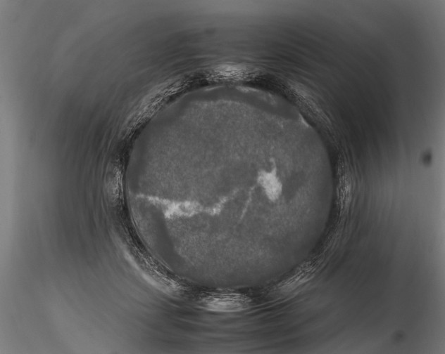 X0000115660459200912031336