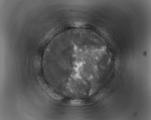 X0000115660461200912031336