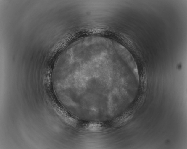 X0000115660462200912031336