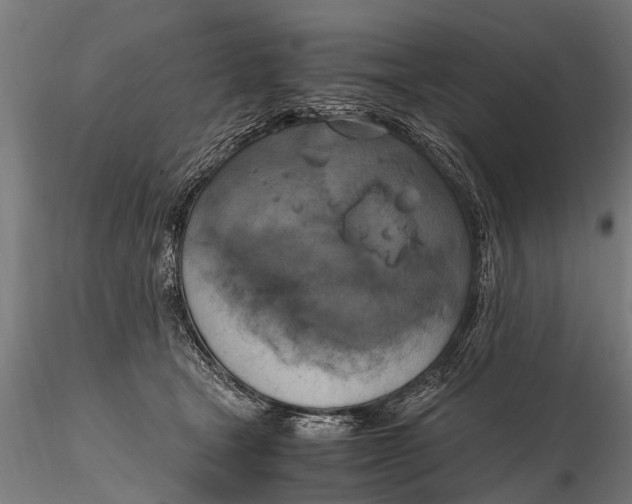 X0000115660465200912031336