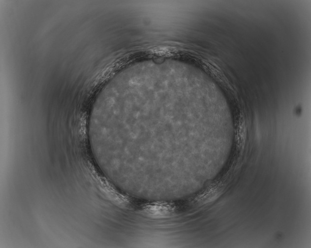 X0000115660466200912031336