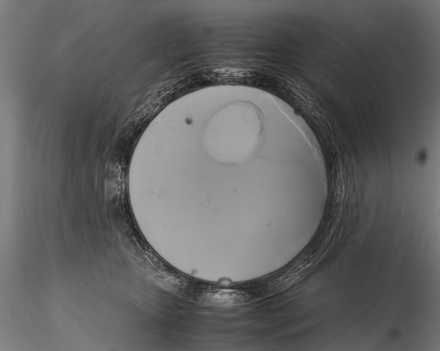 X0000115660467200912031336