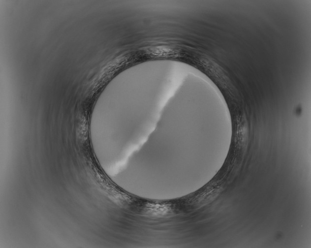 X0000115660469200912031337