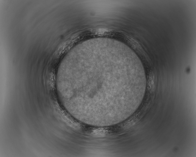 X0000115660470200912031337