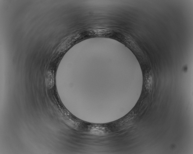 X0000115660471200912031337