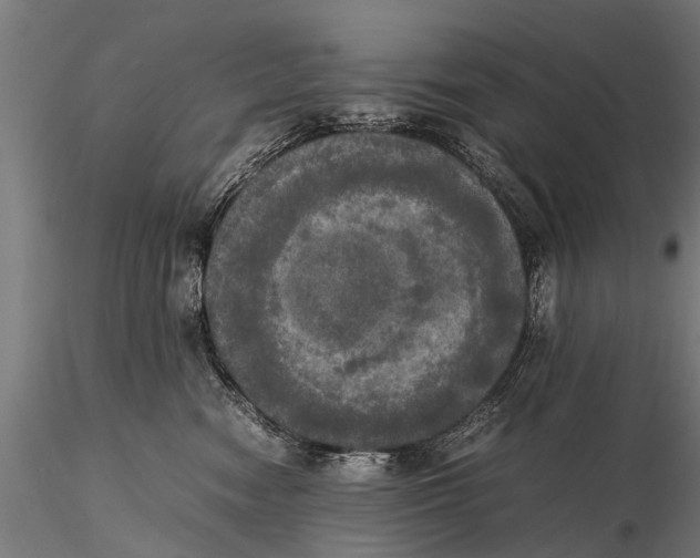 X0000115660474200912031337