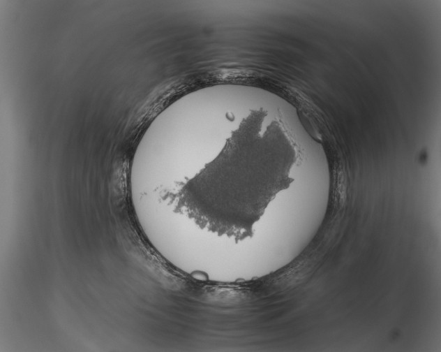 X0000115660475200912031337