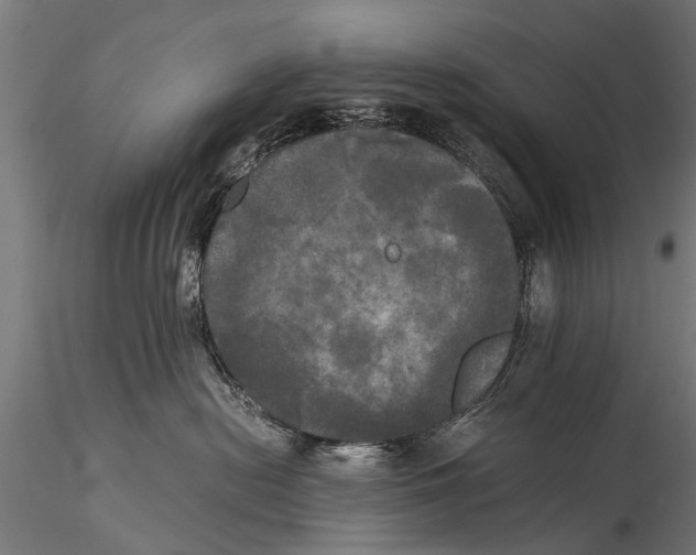 X0000115660478200912031337